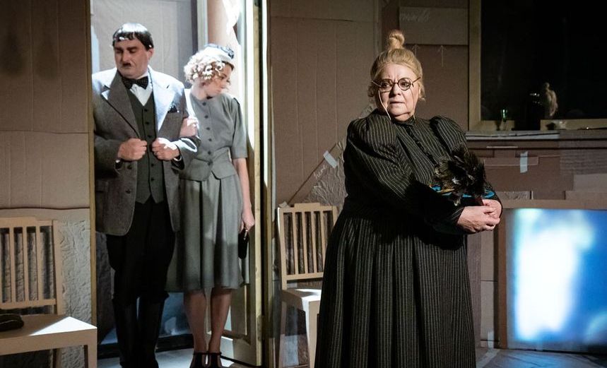 Лысая певица