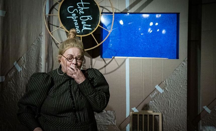 Лысая певица