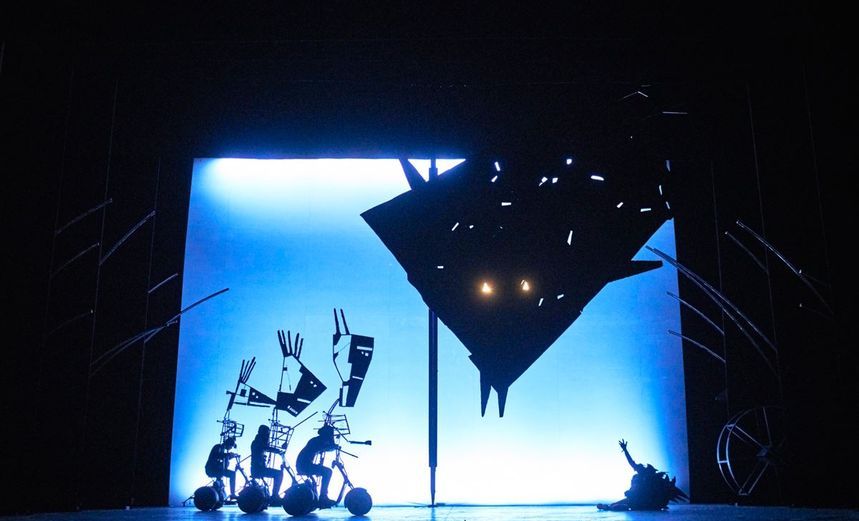 Черная курица